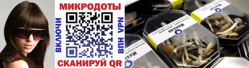 Галлюциногенные грибы Psilocybine cubensis  блэк спрут ссылка  Голицыно 